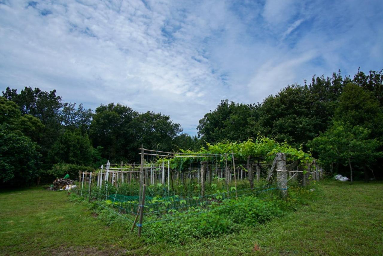 Appartamento Almademencia Pontevedra Esterno foto